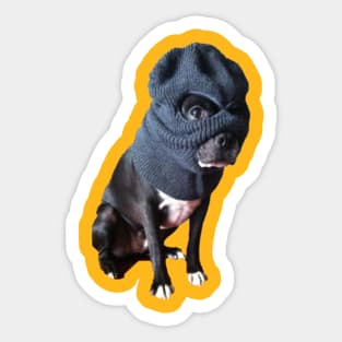 Dog in a Ski Mask Sticker
